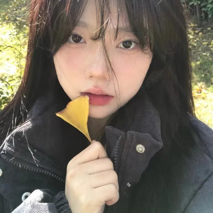 沉默的巡游